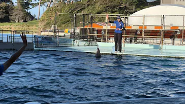 越前松島水族館に投稿された画像（2026/8/10）
