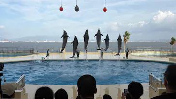 マリンワールド海の中道に投稿された画像（2026/8/10）