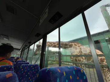 岩手サファリパークに投稿された画像（2026/8/10）