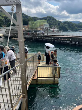 伊豆・三津シーパラダイスに投稿された画像（2026/8/10）