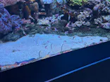 サンシャイン水族館に投稿された画像（2026/8/10）