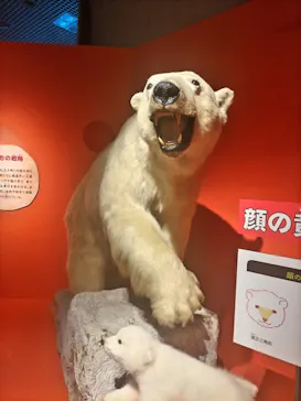特別展「いきもの超ワールド展　国立科学博物館×ダーウィンが来た！」（国立科学博物館）に投稿された画像（2026/8/10）