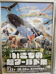 国立科学博物館に投稿された画像（2026/8/10）