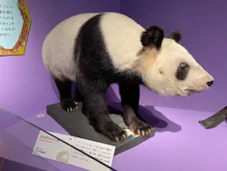 国立科学博物館に投稿された画像（2026/8/10）