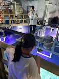 サンシャイン水族館に投稿された画像（2026/8/10）