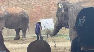 ANIMAL WONDER REZOURT 市原ぞうの国・サユリワールドに投稿された画像（2026/8/10）