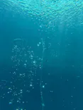 環境水族館アクアマリンふくしまに投稿された画像（2026/8/10）