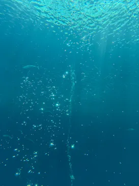 環境水族館アクアマリンふくしまに投稿された画像（2026/8/10）