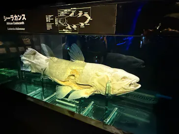環境水族館アクアマリンふくしまに投稿された画像（2026/8/10）