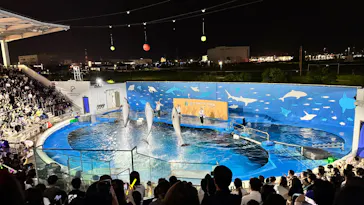仙台うみの杜水族館に投稿された画像（2026/8/10）