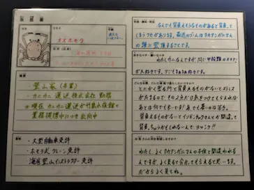 竹島水族館に投稿された画像（2026/8/10）
