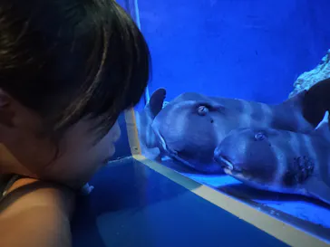 竹島水族館に投稿された画像（2026/8/10）
