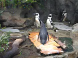 サンシャイン水族館に投稿された画像（2026/8/10）