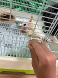 いきもの探検隊に投稿された画像（2026/8/10）