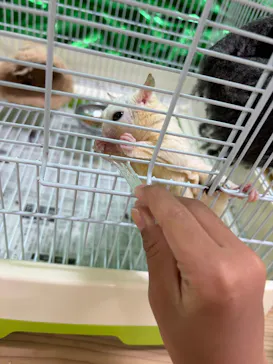 いきもの探検隊に投稿された画像（2026/8/10）