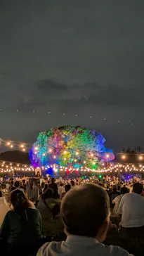 東京 星空と光の夏祭り（開催日：8月8日～16日）に投稿された画像（2026/8/10）