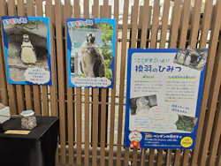 サンシャイン水族館に投稿された画像（2026/8/10）