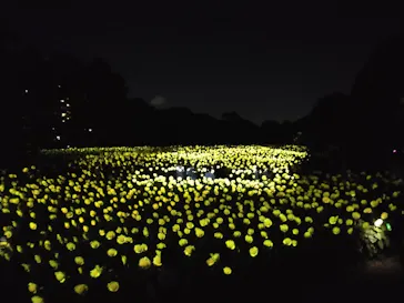 チームラボ ボタニカルガーデン 大阪に投稿された画像（2026/8/10）