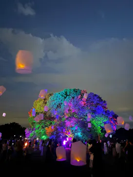 東京 星空と光の夏祭り（開催日：8月8日～16日）に投稿された画像（2026/8/10）