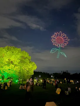 東京 星空と光の夏祭り（開催日：8月8日～16日）に投稿された画像（2026/8/10）