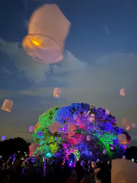 東京 星空と光の夏祭り（開催日：8月8日～16日）に投稿された画像（2026/8/10）