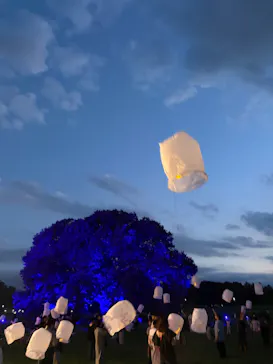 東京 星空と光の夏祭り（開催日：8月8日～16日）に投稿された画像（2026/8/10）