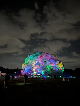 東京 星空と光の夏祭り（開催日：8月8日～16日）に投稿された画像（2026/8/10）