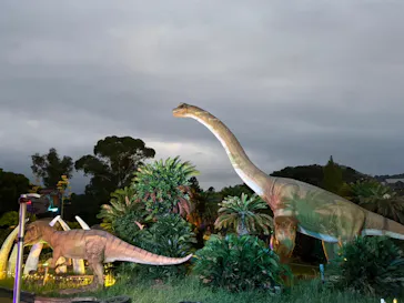 伊豆ぐらんぱる公園に投稿された画像（2026/8/10）