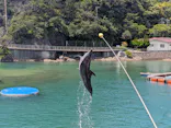 下田海中水族館に投稿された画像（2026/8/11）