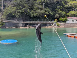下田海中水族館に投稿された画像（2026/8/10）
