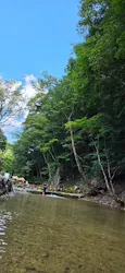 ナラ入沢渓流釣りキャンプ場に投稿された画像（2026/8/10）