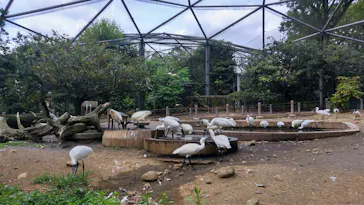 多摩動物公園に投稿された画像（2026/8/10）
