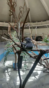 多摩動物公園に投稿された画像（2026/8/10）