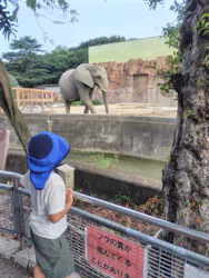 東武動物公園に投稿された画像（2026/8/11）