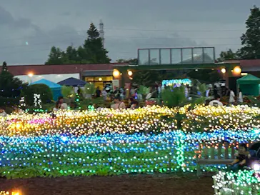 せんだい農業園芸センター　みどりの杜に投稿された画像（2026/8/11）