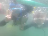 ヘイズダイブに投稿された画像（2026/8/11）
