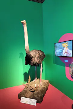 特別展「いきもの超ワールド展　国立科学博物館×ダーウィンが来た！」（国立科学博物館）に投稿された画像（2026/8/11）
