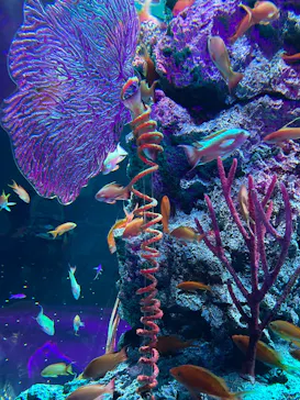 AQUARIUM × ART　atoa×神戸ポートタワーに投稿された画像（2026/8/11）