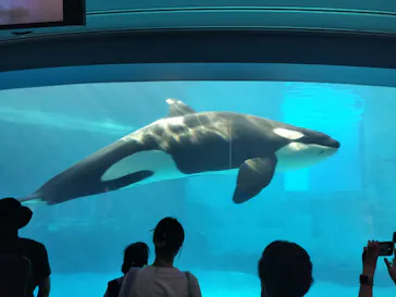 名古屋港水族館に投稿された画像（2026/8/11）