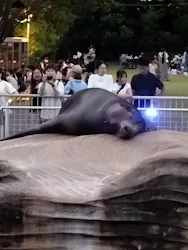 名古屋市東山動植物園に投稿された画像（2026/8/11）