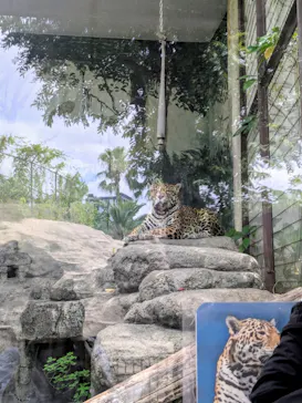 天王寺動物園に投稿された画像（2026/8/11）