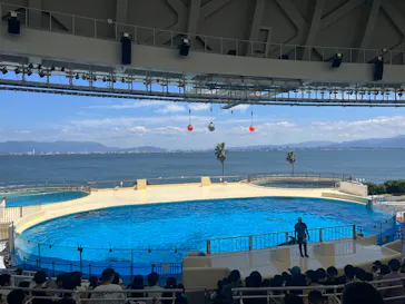 マリンワールド海の中道に投稿された画像（2026/8/11）