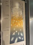 国立科学博物館に投稿された画像（2026/8/11）