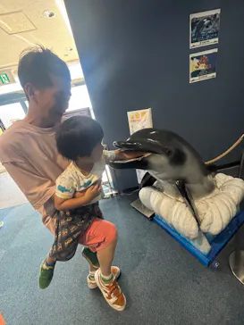 名古屋港水族館に投稿された画像（2026/8/11）