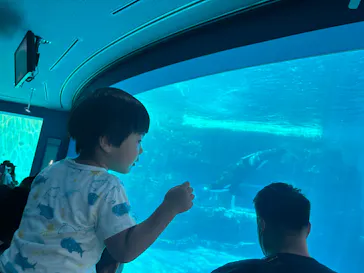 名古屋港水族館に投稿された画像（2026/8/11）