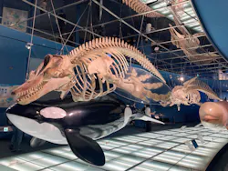 名古屋港水族館に投稿された画像（2026/8/11）