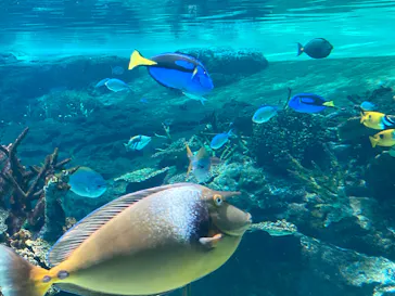 名古屋港水族館に投稿された画像（2026/8/11）