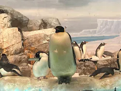 名古屋港水族館に投稿された画像（2026/8/11）