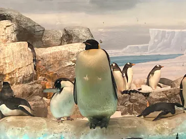 名古屋港水族館に投稿された画像（2026/8/11）