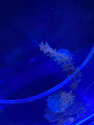 名古屋港水族館に投稿された画像（2026/8/11）